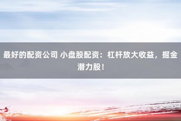 最好的配资公司 小盘股配资：杠杆放大收益，掘金潜力股！