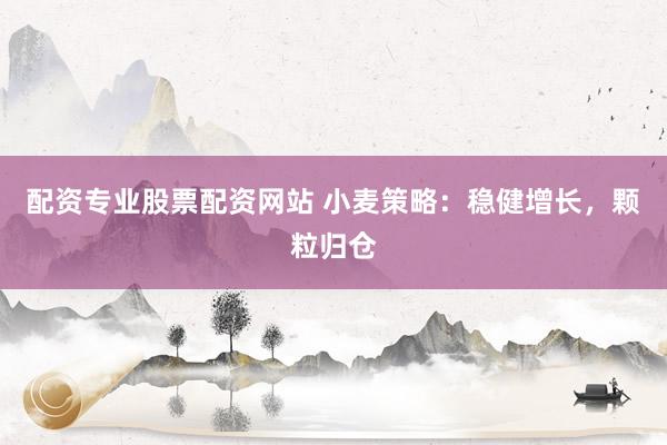 配资专业股票配资网站 小麦策略：稳健增长，颗粒归仓