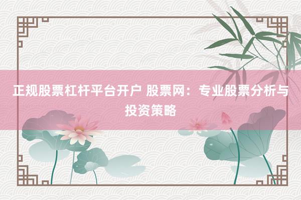 正规股票杠杆平台开户 股票网：专业股票分析与投资策略