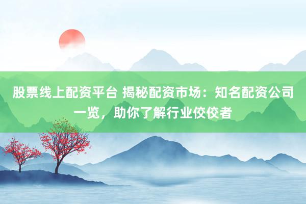 股票线上配资平台 揭秘配资市场：知名配资公司一览，助你了解行业佼佼者
