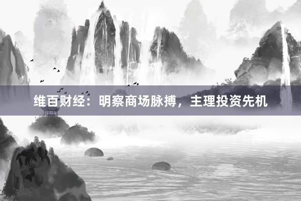 维百财经：明察商场脉搏，主理投资先机
