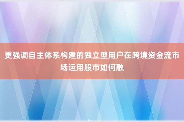 更强调自主体系构建的独立型用户在跨境资金流市场运用股市如何融