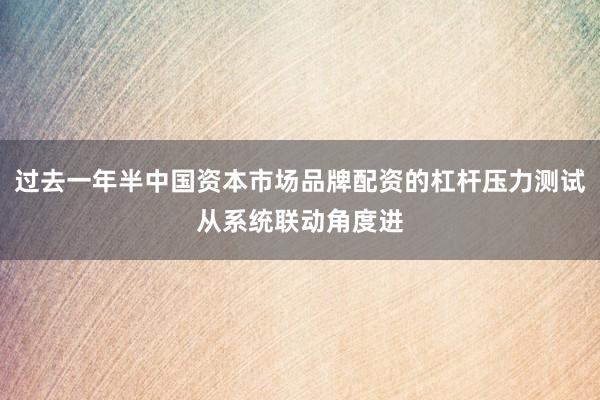 过去一年半中国资本市场品牌配资的杠杆压力测试从系统联动角度进